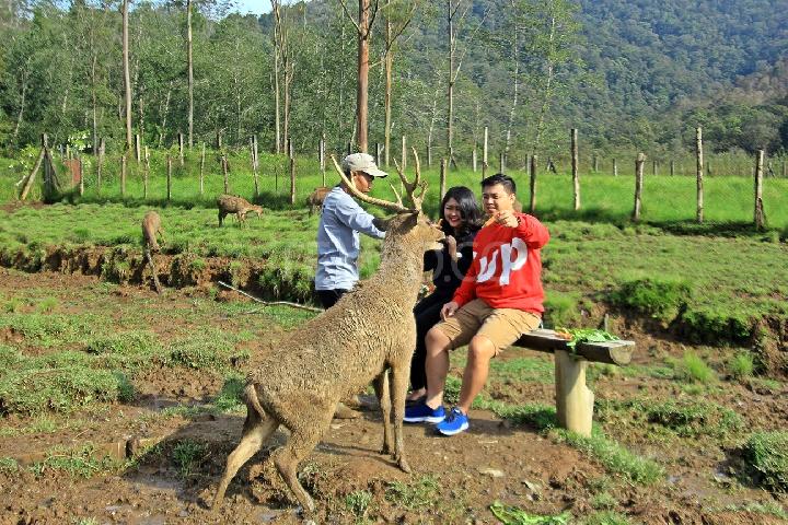 Ranca-Upas 7 Destinasi Paling Populer di Selatan Bandung Itu Anda Harus Kunjungi Saat Liburan Ranca-Upas 7 Destinasi Paling Populer di Selatan Bandung Itu Anda Harus Kunjungi Saat Liburan