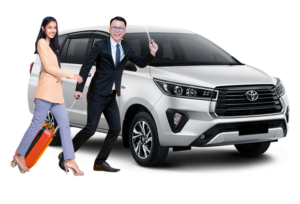 Innova Reborn Type V